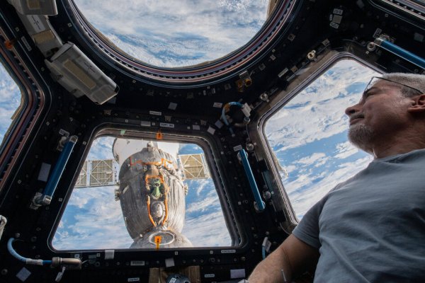 Что такое кракен только через тор