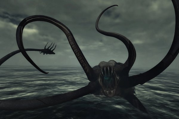 Kraken площадка